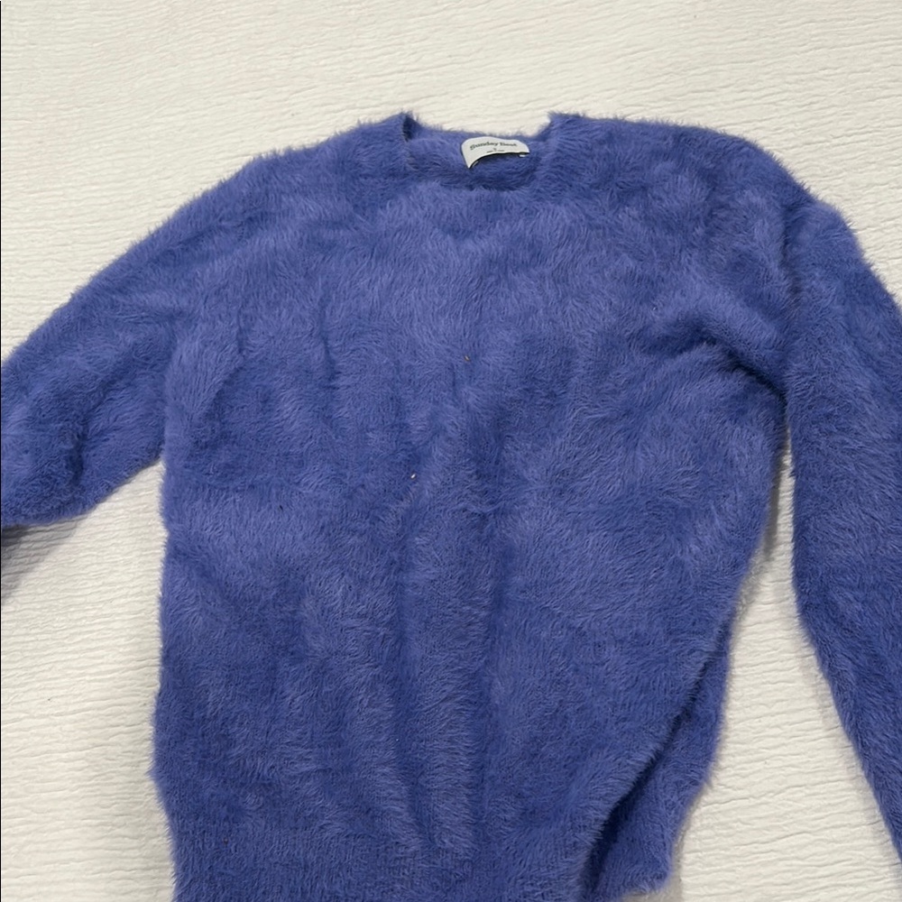 ARITZIA fuzzy purple sweater